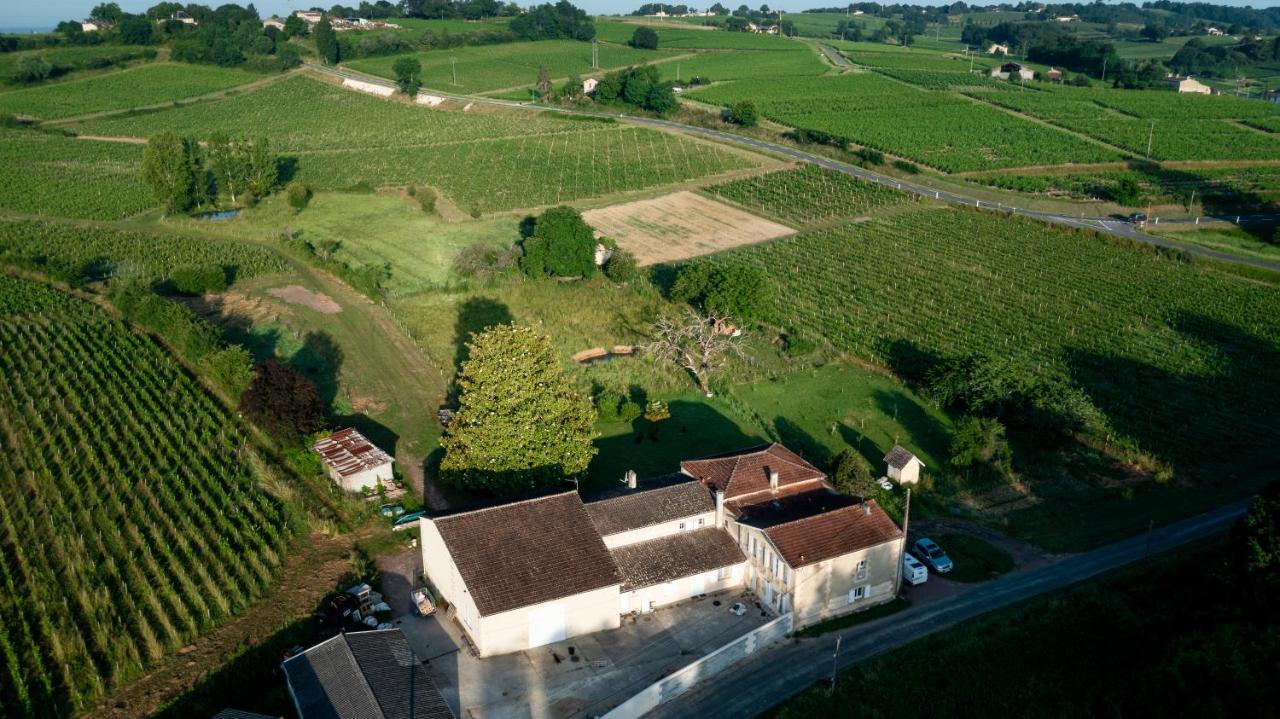 Chambre D'Hote Pres Bordeaux Au Chateau Camponac Bourg-sur-Gironde Exteriör bild